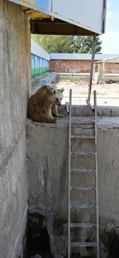 عکس مرکز حیات وحش البرز