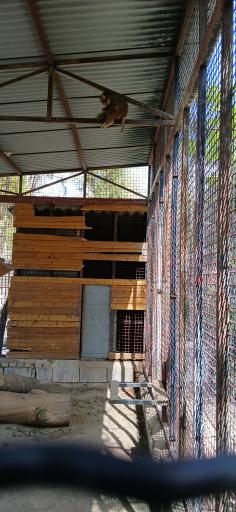 عکس مرکز حیات وحش البرز