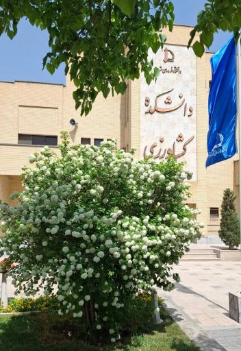 عکس دانشگاه فردوسی مشهد