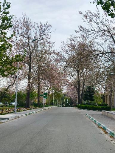 عکس دانشگاه فردوسی مشهد