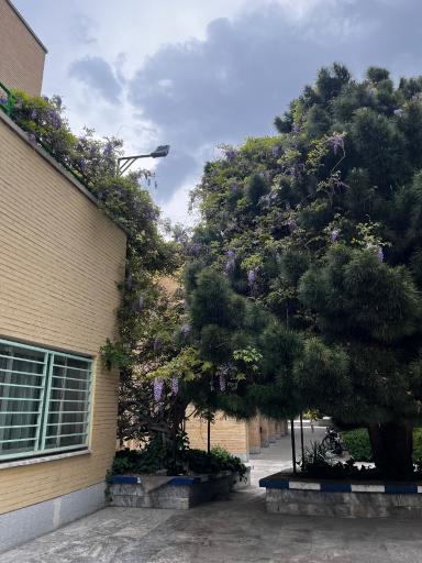 عکس دانشگاه فردوسی مشهد