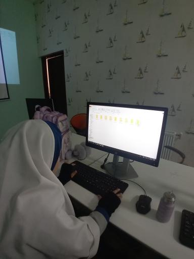 عکس دبستان دخترانه فناوری جوانه ها