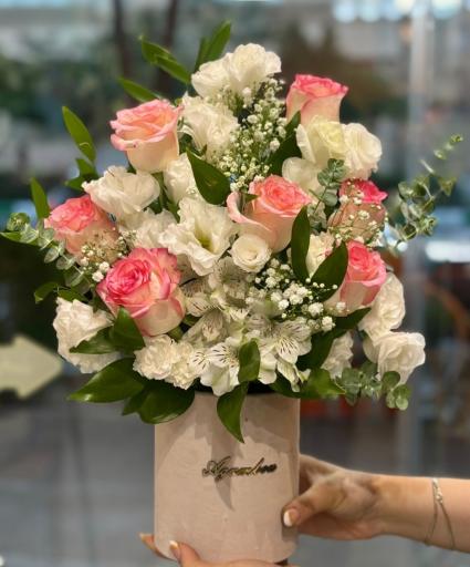 عکس گلکده مریم