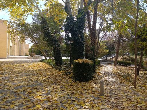 عکس دانشگاه فردوسی مشهد