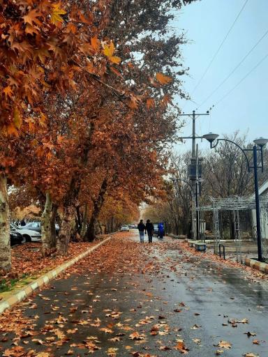 عکس دانشگاه فردوسی مشهد