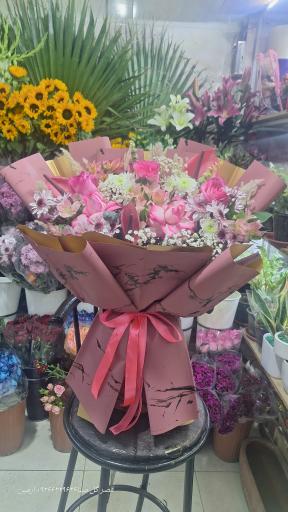 عکس قصر گل مینا