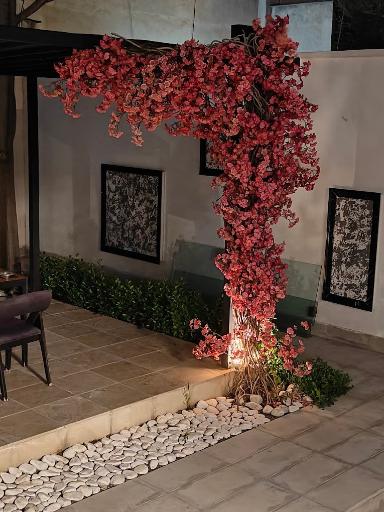 عکس شرکت فابیلو