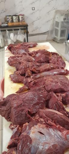 عکس تهیه غذا نمونه شهر