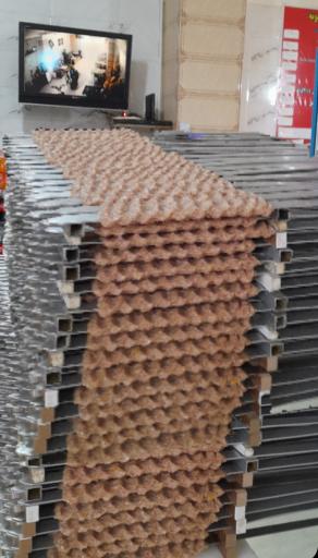 عکس تهیه غذا نمونه شهر