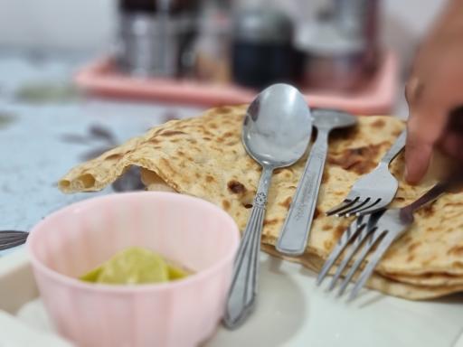 عکس طباخی افق