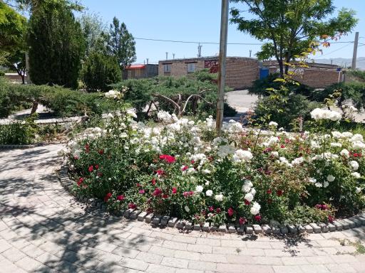 عکس بوستان صدف