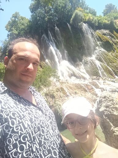 عکس بیشه