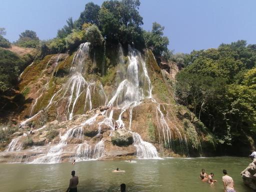 بیشه
