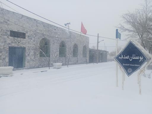 عکس بوستان صدف