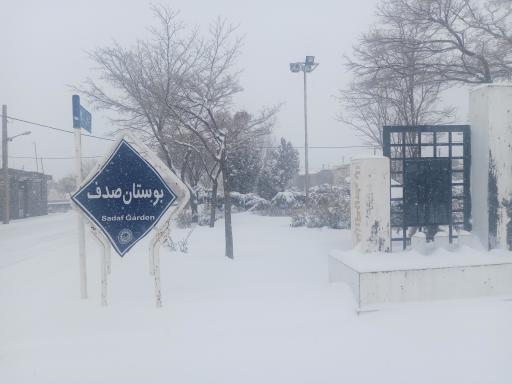 عکس بوستان صدف