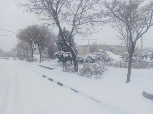 عکس بوستان صدف