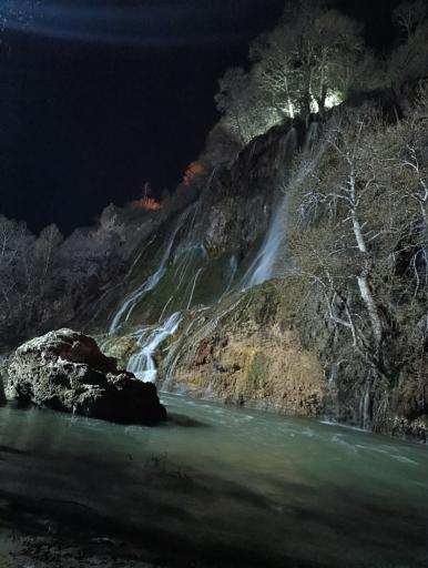 عکس بیشه