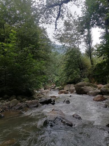 عکس آبشار سیاهمزگی