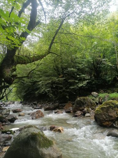 عکس آبشار سیاهمزگی