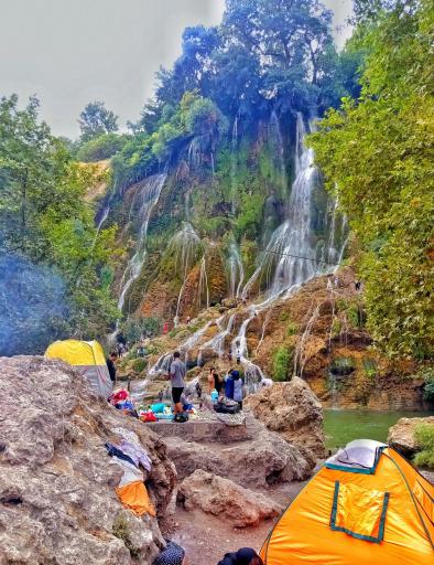 عکس بیشه