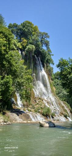عکس بیشه