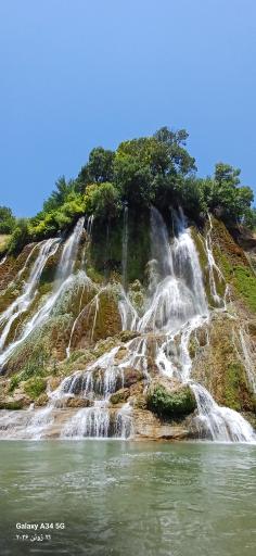 عکس بیشه
