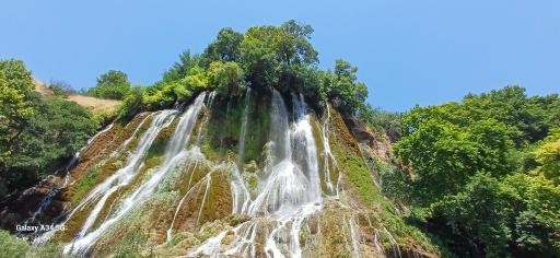 عکس بیشه