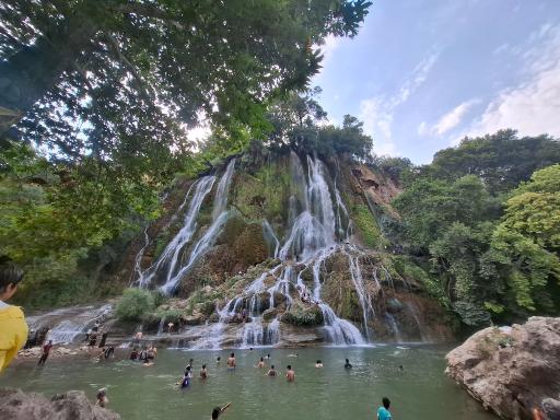 عکس بیشه