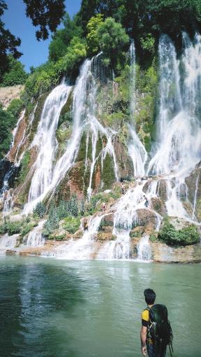 عکس بیشه
