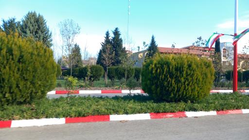 عکس سالن غذاخوری زیتون