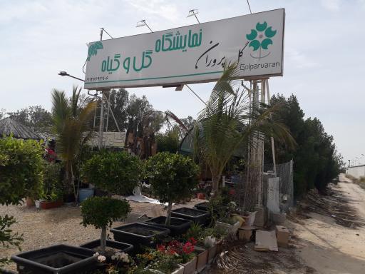 عکس نمایشگاه گل و گیاه گل پروران