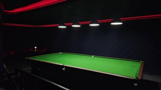 عکس بیلیارد رست