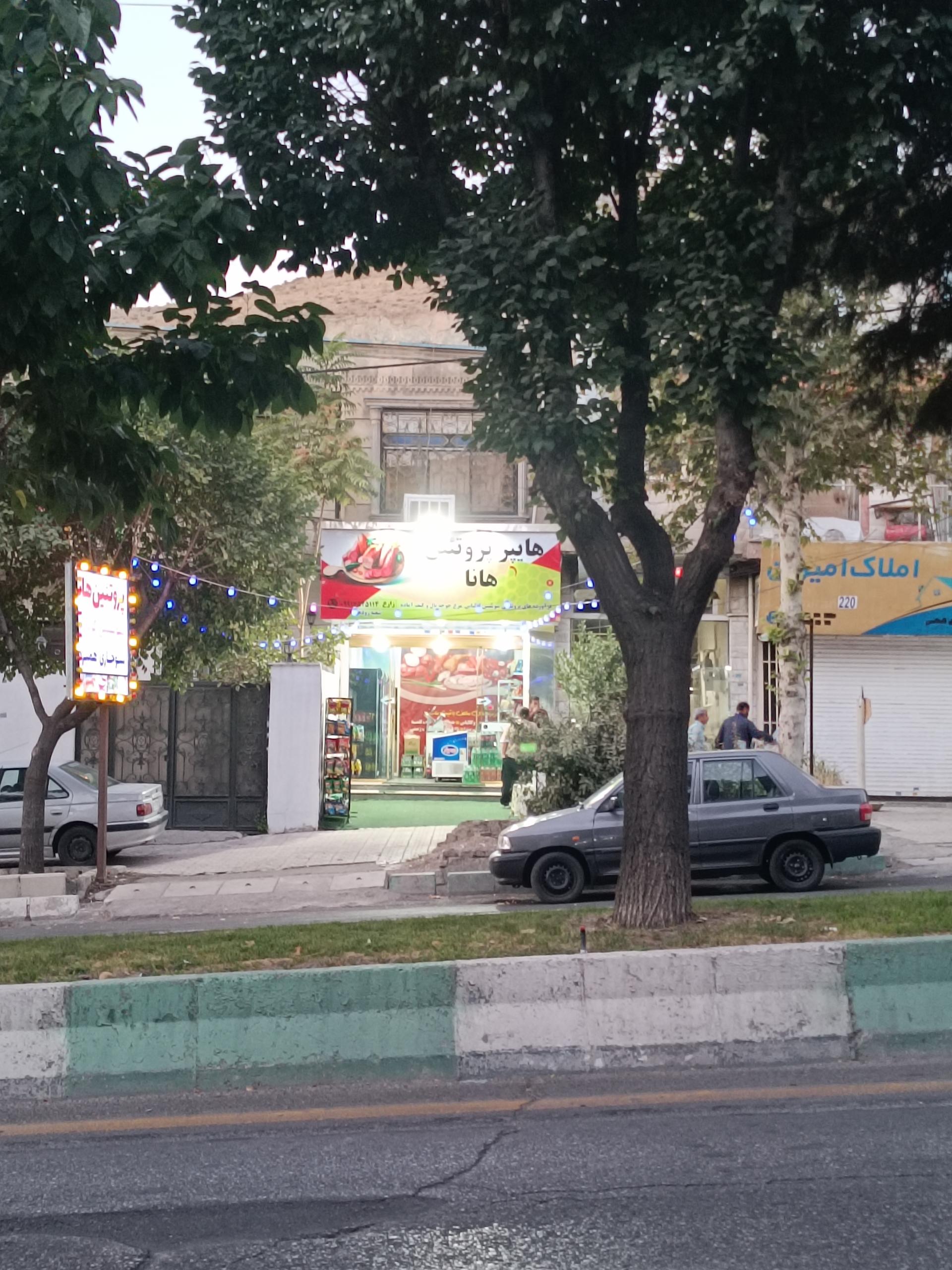عکس پروتئین  هانا