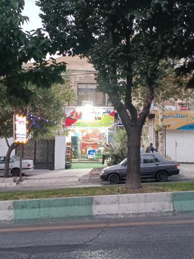 عکس پروتئین  هانا