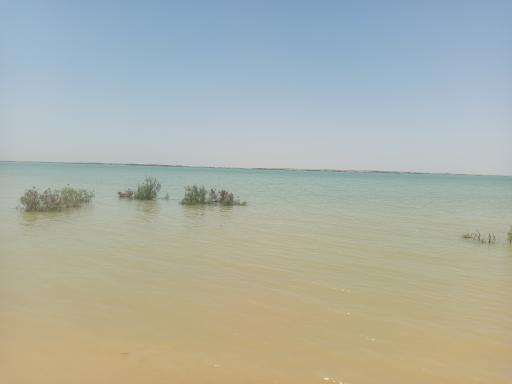عکس زابل