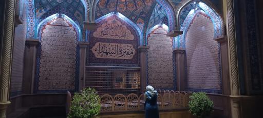 عکس فاطمیه بزرگ تهران