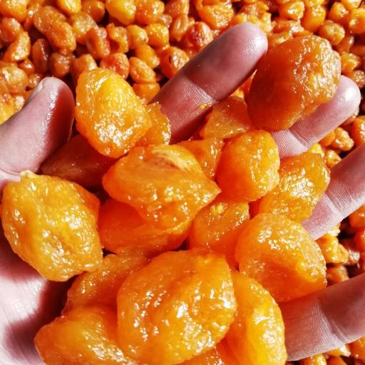 عکس خشکبار نمونه