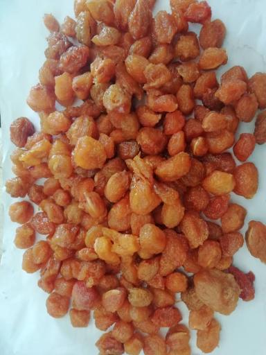 عکس خشکبار نمونه