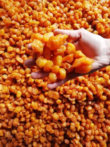 عکس خشکبار نمونه