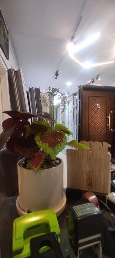 عکس آرسین درب