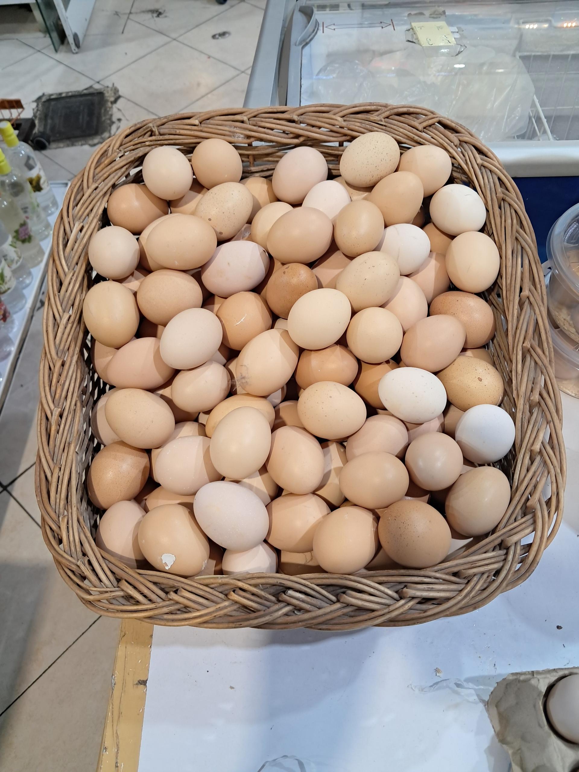 عکس لبنیات دهنوی