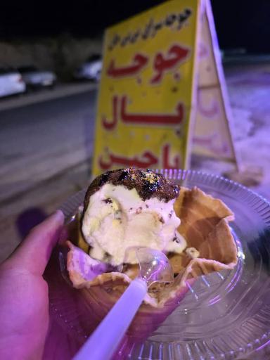 عکس جوجه سرای بی بی جان