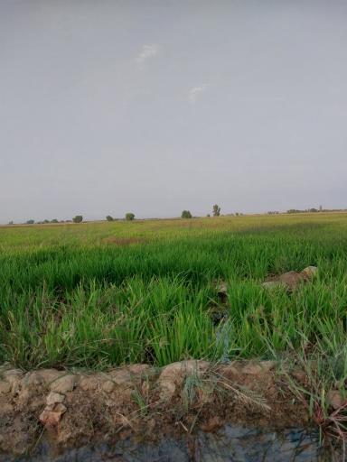 لنگرجدید
