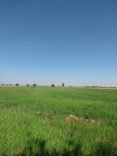 عکس لنگرجدید