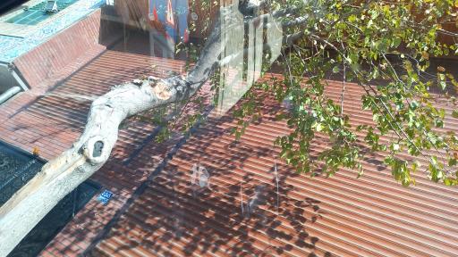 عکس اُپال خودرو