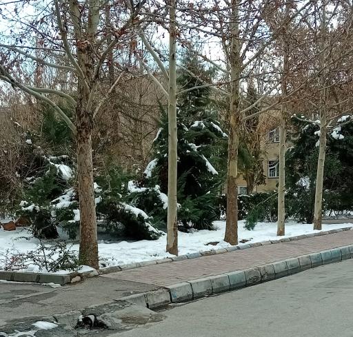 عکس بوستان فخر