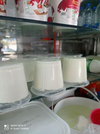 عکس لبنیات محلی دامیاران 
