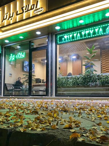 عکس مشاورین املاک برتر