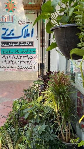 عکس مشاورین املاک برتر