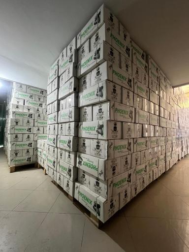 عکس پخش زغال ققنوس